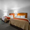 Отель Comfort Inn & Suites, фото 5