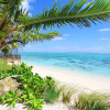 Отель Moana Sands Villas & Apartments, фото 20