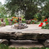 Отель Asia Mountains Hotel-2, фото 18