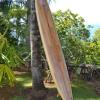 Отель Casa com Vista para o Mar em Ubatuba, фото 28