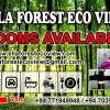Отель Ella Forest Eco View, фото 15