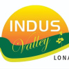 Отель Indus Valley Resort, фото 12