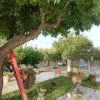 Отель Il Poggetto Marzamemi - Lemon House, фото 4