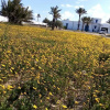 Отель Houch La Driba, фото 10