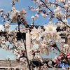 Отель Yinshan Homestay, фото 12