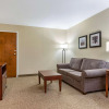 Отель Comfort Inn & Suites Clemson - University Area, фото 37