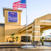 Отель Sleep Inn Near Outlets, фото 1