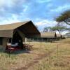 Отель Rongai Eleven Serengeti Camp в Национальном парке Серенгети