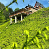 Отель Celazeni̇ Bungalov, фото 20