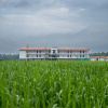 Отель Starling River Resort, фото 1