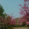 Отель Yuntian Garden Hotel, фото 16