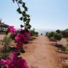 Отель Bedouin Star, фото 24