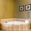 Отель Comfort Inn And Suites, фото 31