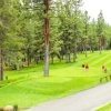 Отель High Pines Hideaway By Avantstay Newly Remodeled In Tahoe Donner With Hot Tub в Траки