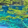 Отель Sheraton Jiuzhaigou Resort, фото 13