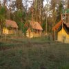 Отель Karnali Jungle Camp, фото 6