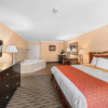 Отель Lemon Tree Hotel & Suites Anaheim, фото 15