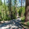 Отель Miner's Claim by Yosemite Region Resorts, фото 32