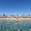 Отель Sharm Dreams Vacation Club	, фото 18