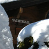 Отель Chalet Nachtigall, фото 1