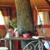 Отель Le Nid dans lArbre, фото 2