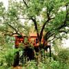 Отель 1 BHK Tree house in Bandhavgarh National Park, Umaria, by GuestHouser (6C62), фото 13