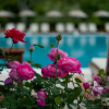 Отель Dionysos Hotel, фото 16