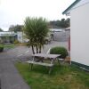 Отель The Ohakune Central Backpackers & Cabins, фото 8