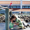 Отель Ebeltoft Strand, фото 14