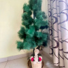 Отель Room in House - Single Private Room With High Speed Fiber Internet, фото 6
