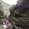 Отель Cloud Forest Family House, фото 18