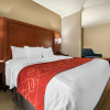 Отель Comfort Inn Louisville, фото 5
