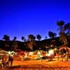 Отель Bedouin Oasis Camp, фото 43