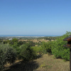 Отель Albachiara Bed & Breakfast, фото 14