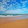 Отель Narrabeen Sands Hotel by Nightcap Plus, фото 17