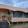 Отель Tayari Luxury Tented Camp- Masai Mara, фото 8