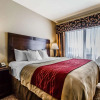 Отель Comfort Inn and Suites Near Lake Guntersville, фото 32