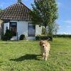 Отель Cozy Holiday Home in Laaksum Near the Lake, фото 16
