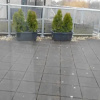 Отель Ferienhaus Friesland, фото 6