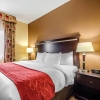 Отель Comfort Suites Louisville East, фото 7