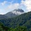 Отель Daintree Peaks ECO Stays, фото 23