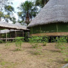 Отель Amazon Yanayacu Lodge, фото 8
