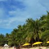 Отель Coconut Beach Resort, фото 28
