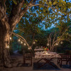 Отель Pugdundee Safaris- Tree House Hideaway, фото 12