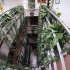 Отель Picasso Inn, фото 15