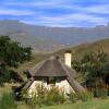 Отель Hlalanathi Drakensberg Resort, фото 14