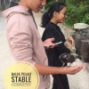 Отель Balik Pulau Stable Homestay, фото 10