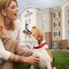 Отель Candlewood Suites Omaha - Millard Area, an IHG Hotel, фото 23