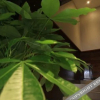 Отель Bale Business Hotel (Harbin West Wanda Plaza West Railway Station), фото 7