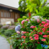 Отель Ten year Boutique Hostel, фото 9